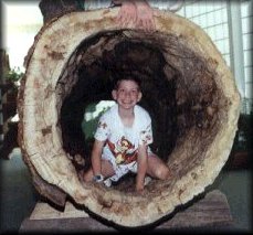 Inside a big hollow log at the Childrens Museum.
